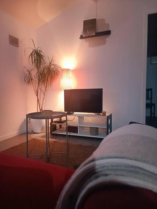 La Casa Inca Merignac - Appartement 3 Pieces Avec Parking A Proximite Du Tram エクステリア 写真